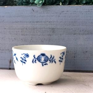 Blue onion pottery